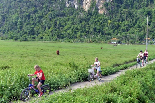 Ngăn ngừa vi phạm trong lĩnh vực nuôi con nuôi quốc tế