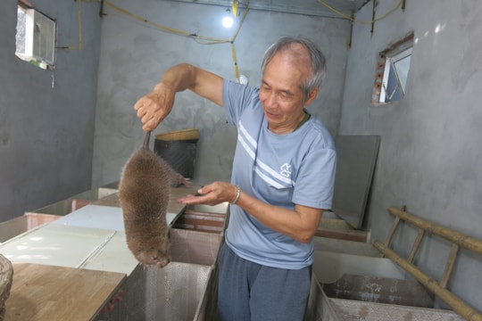 Nông dân Tân Minh làm giàu từ trang trại thông minh