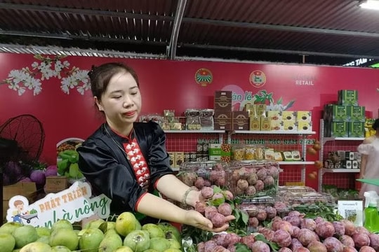 Mã số vùng trồng bảo vệ uy tín nông sản Việt Nam