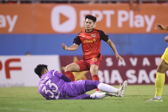'Máy tạt cánh' người Hải Phòng tại Ninh Bình