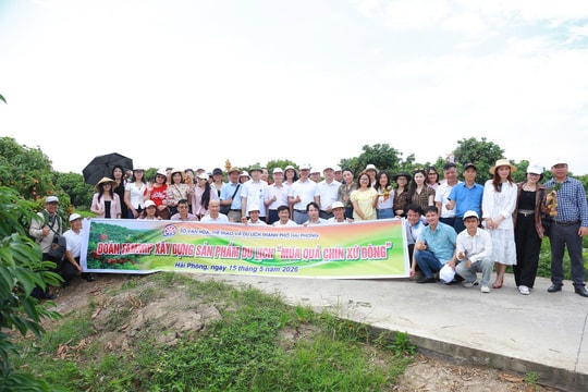 Khảo sát xây dựng tour trải nghiệm 'Mùa quả chín xứ Đông'
