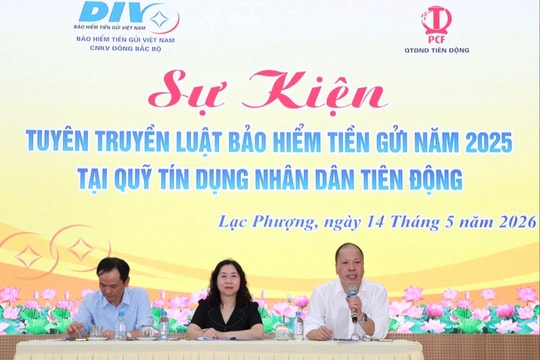 Mechanism for protecting depositors under the new law