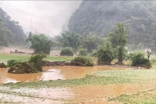 Mưa lớn, dông lốc tại nhiều địa phương gây thiệt hại ước hơn 10 tỷ đồng