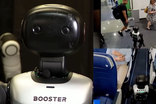 Hãng hàng không Mỹ cấm robot lên máy bay sau sự cố hy hữu