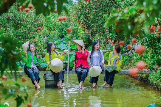 Mùa quả chín bên sông