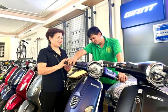 Hộ kinh doanh cần thêm 'đòn bẩy' phát triển