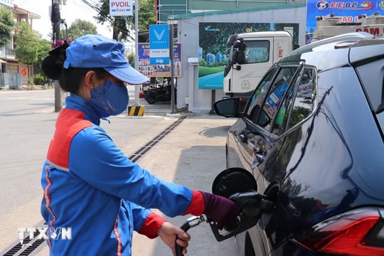 Các hãng xe xác nhận về xăng E10 trước ngày áp dụng toàn quốc