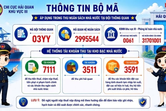 Đội Thông quan công bố bộ mã tài khoản thu ngân sách