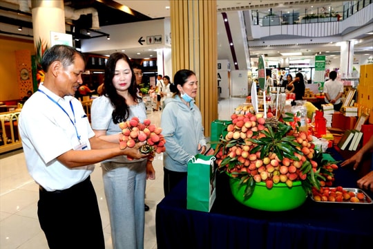 Vải thiều Thanh Hà vào siêu thị Aeon Mall Hải Phòng