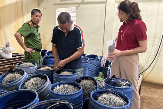 Giá đỗ bẩn - mối lo ngay trên mâm cơm