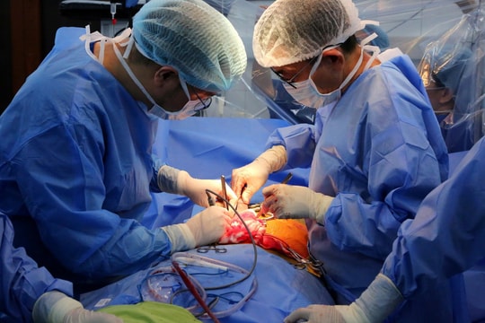 Lần đầu tiên Bệnh viện Hữu nghị Việt Tiệp ghép thận thành công từ người hiến chết não