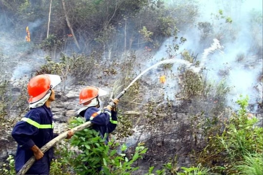 Cháy rừng dữ dội tại Quảng Trị, hàng trăm người nỗ lực dập lửa