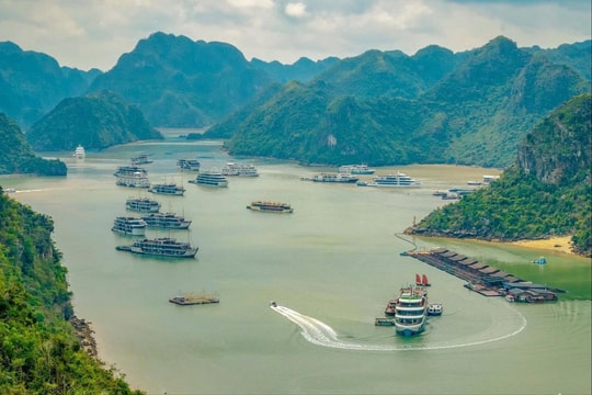 Hành trình du lịch xuyên di sản Hạ Long - Lan Hạ hút khách quốc tế