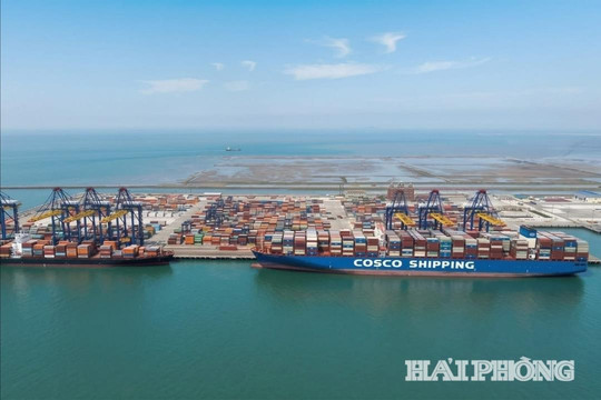 Hơn 6,1 triệu m3 nạo vét luồng Lạch Huyện được nhận chìm ngoài biển