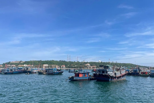 Hải Phòng khẩn trương tìm kiếm, cứu nạn tàu gặp nạn trên biển