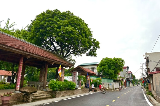 2.116 thôn, tổ dân phố ở Hải Phòng chưa bảo đảm số hộ