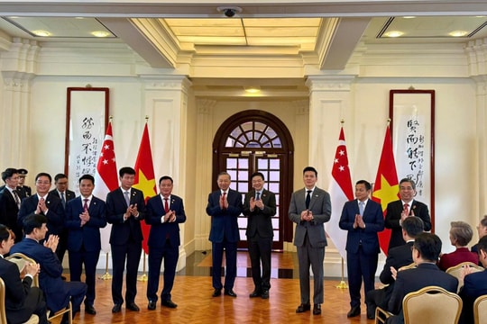 Hai Phong Party Secretary presents investment approvals for three VSIP projects