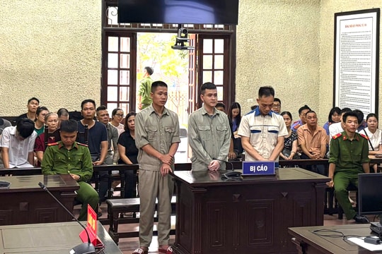 Tổ chức sử dụng ma túy, 3 thanh niên đi tù