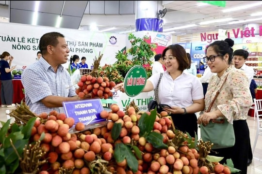 Hai Phong's total retail sales of goods and service revenue rise 15.3% in five months
