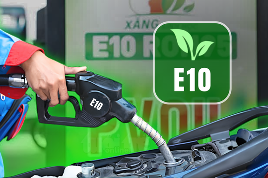 Cách kiểm tra xem xe có phù hợp với xăng E10 hay không
