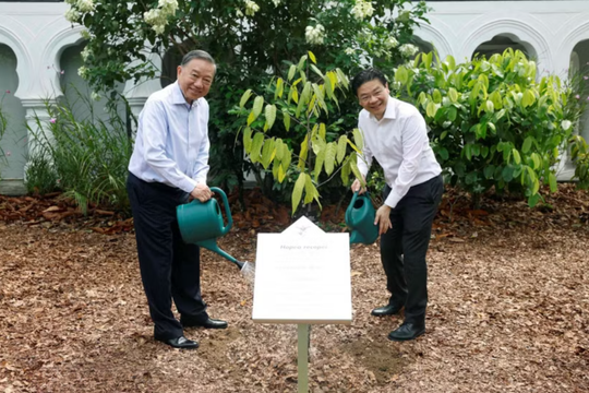 Tổng Bí thư, Chủ tịch nước Tô Lâm trồng cây tại Vườn Bách thảo Singapore