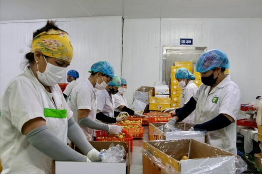 Nâng cao tuân thủ tiêu chuẩn quốc tế về minh bạch và trao đổi thông tin thuế
