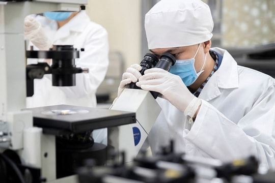 Khoa học cơ bản là nền tảng của phát triển quốc gia