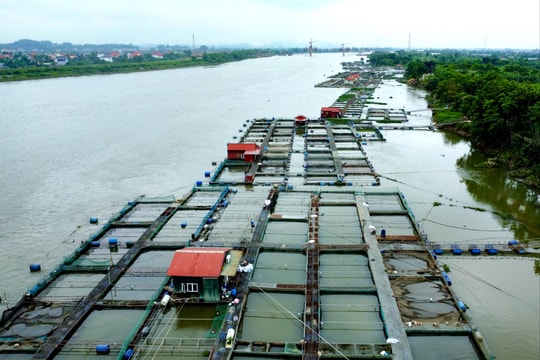 Lập lại trật tự vùng nuôi thủy sản lồng bè