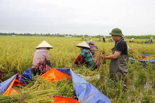 Mô hình kinh tế xanh ở Nghi Dương