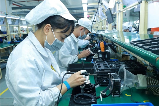 Năng lực số là nội dung bắt buộc trong các chương trình giáo dục, đào tạo