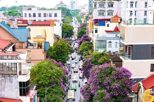 Bài ca mùa hạ