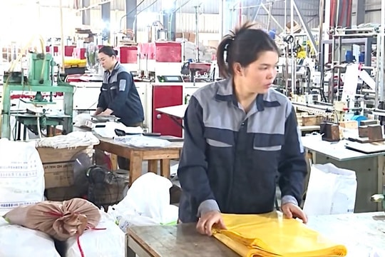 Lan toả lối sống xanh vì môi trường sạch