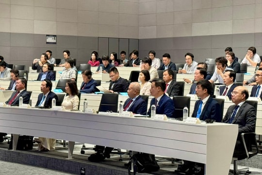 Thành phố Hải Phòng xúc tiến đầu tư với các doanh nghiệp trong chuỗi cung ứng của Tập đoàn LG
