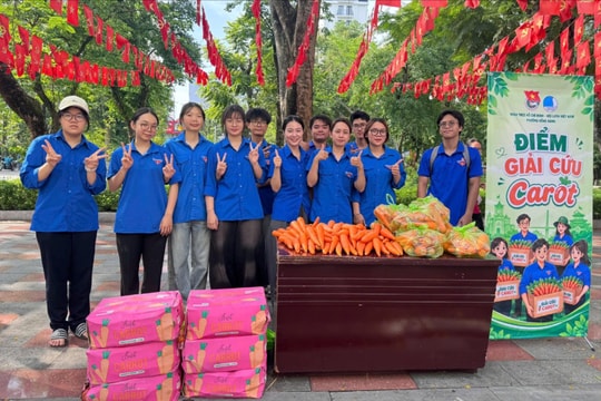 Tuổi trẻ Hải Phòng chung tay hỗ trợ tiêu thụ hơn 32 tấn cà rốt