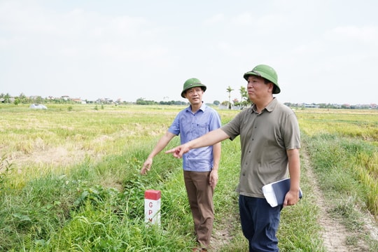Sớm bàn giao mặt bằng dự án đường sắt Lào Cai - Hà Nội - Hải Phòng
