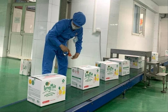 Hải Phòng phấn đấu có khoảng 20 doanh nghiệp thuộc TOP 500 doanh nghiệp tư nhân lớn nhất Việt Nam