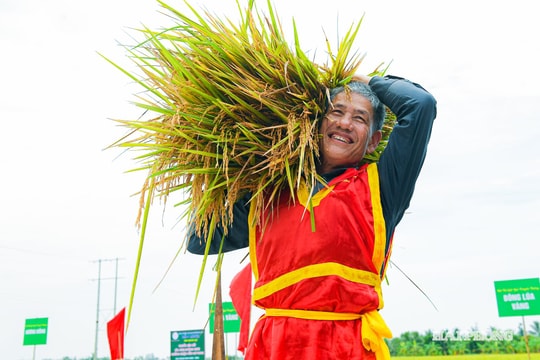 Những nụ cười nông dân ở ngày hội lúa rươi hữu cơ xã Chí Minh
