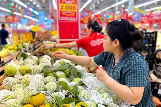 Hai Phong's Jan-May CPI rises 3.78%