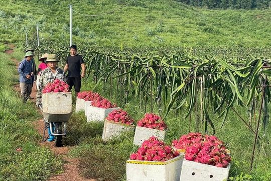 Enhancing the value of agricultural products