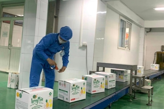 Hai Phong aims to have about 20 firms in Vietnam’s Top 500 private enterprises