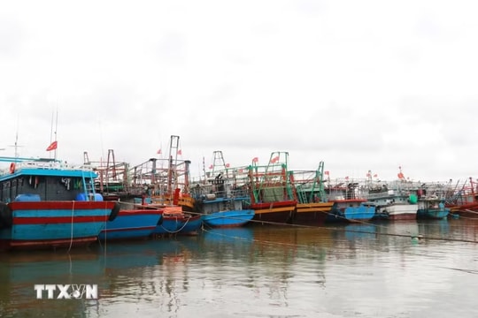 Đề nghị 15 tỉnh, thành phố ven biển ứng phó vùng áp thấp trên biển