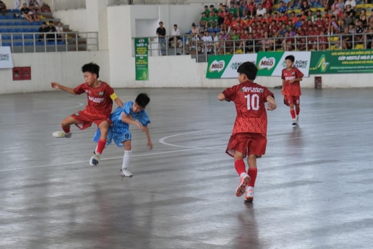 Bóng đá trẻ Hải Phòng: U11 thăng hoa, U13 gặp khó