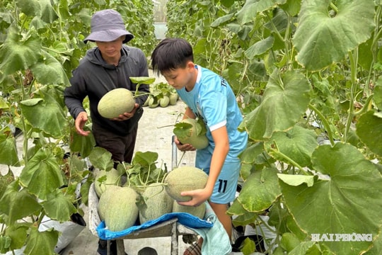 Phấn đấu tăng trưởng nông nghiệp đạt mục tiêu đề ra