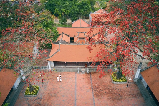 Từ Lương Xâm - đại bản doanh của Đức Vương Ngô Quyền