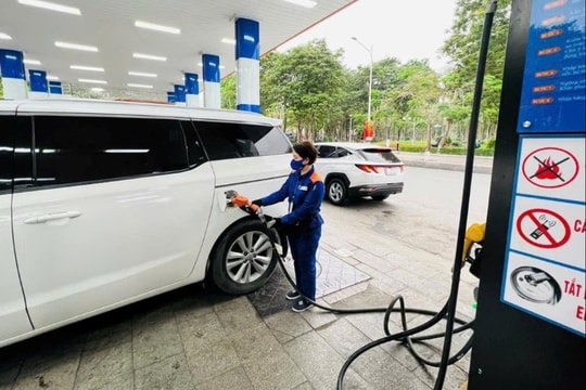 Công bằng nghĩa vụ thuế để môi trường kinh doanh lành mạnh