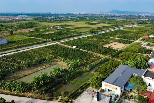 Định giá đất hướng tới sát thị trường và minh bạch hơn