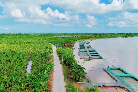 Thích ứng linh hoạt trước áp lực xâm nhập mặn