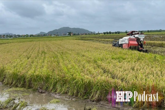 Điểm tin Podcast ngày 15/6