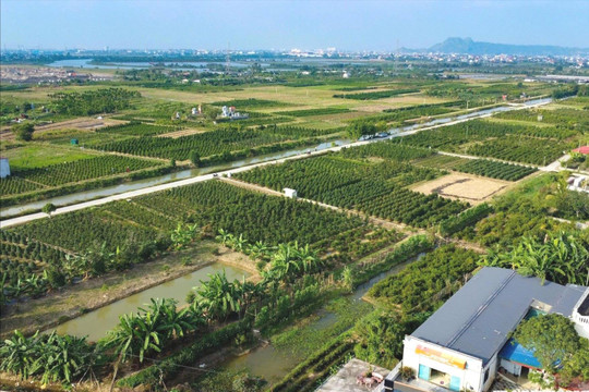 Hải Phòng thiết lập lại cơ sở dữ liệu đất nông nghiệp