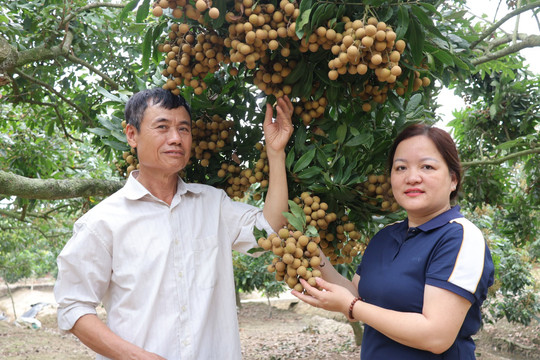 Hà Đông xác định 8 nhóm nhiệm vụ phát triển kinh tế - xã hội